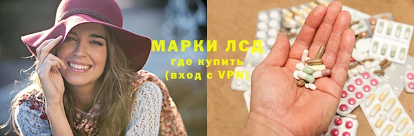 PSILOCYBIN Белокуриха